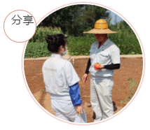 采摘幸福果實(shí)，分享收獲喜悅